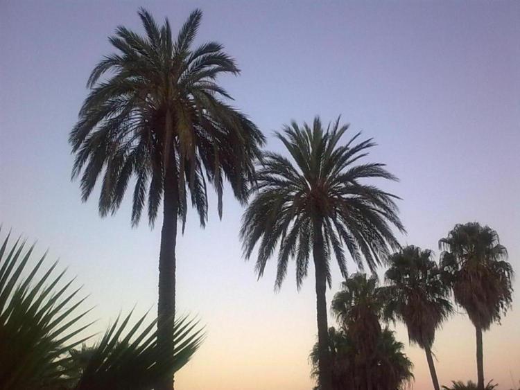 Baladres Holidays Lek Peniscola Bagian luar foto